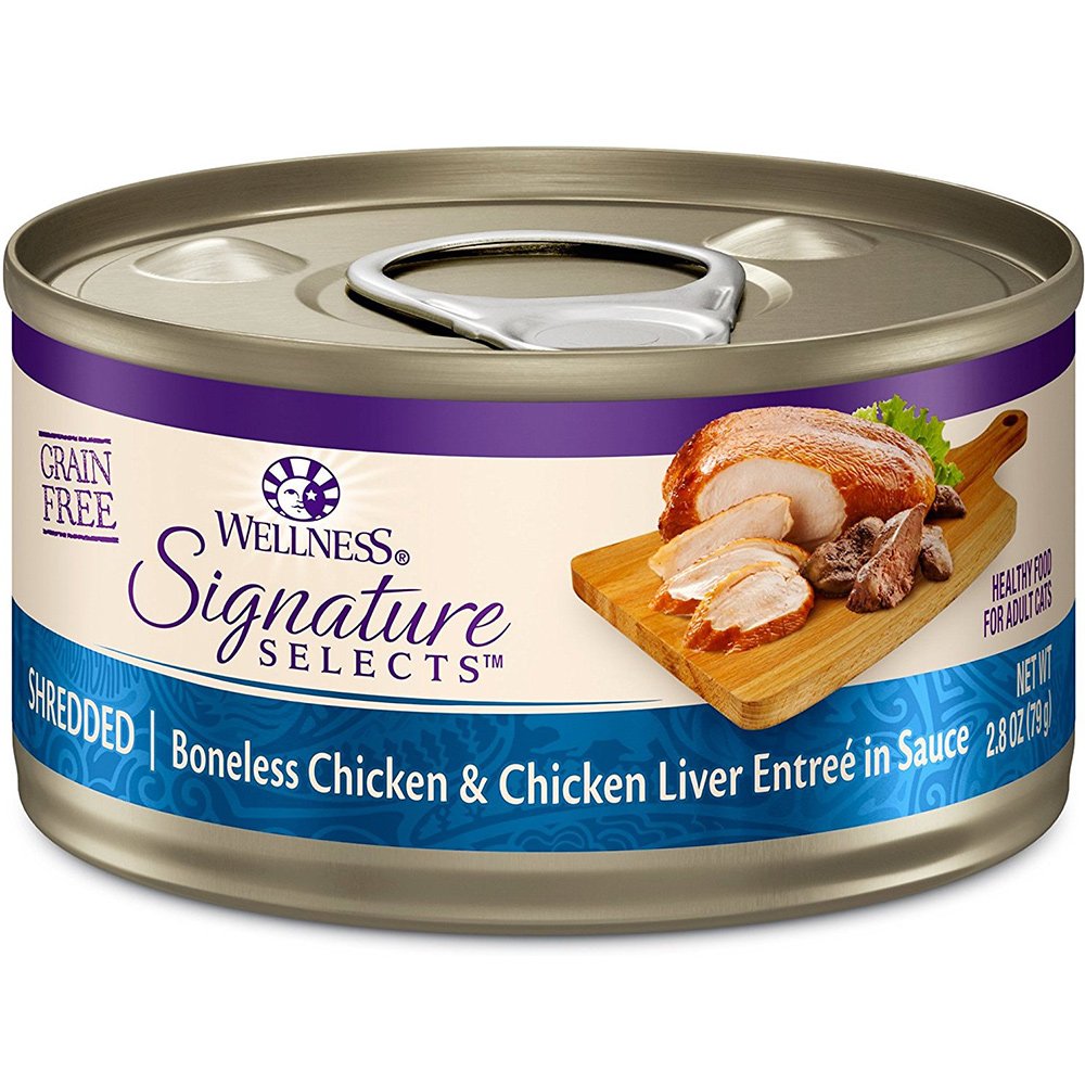 Wellness Signature Grain Free Wet Cat Food cat eating from bowl shows easy daily feeding.