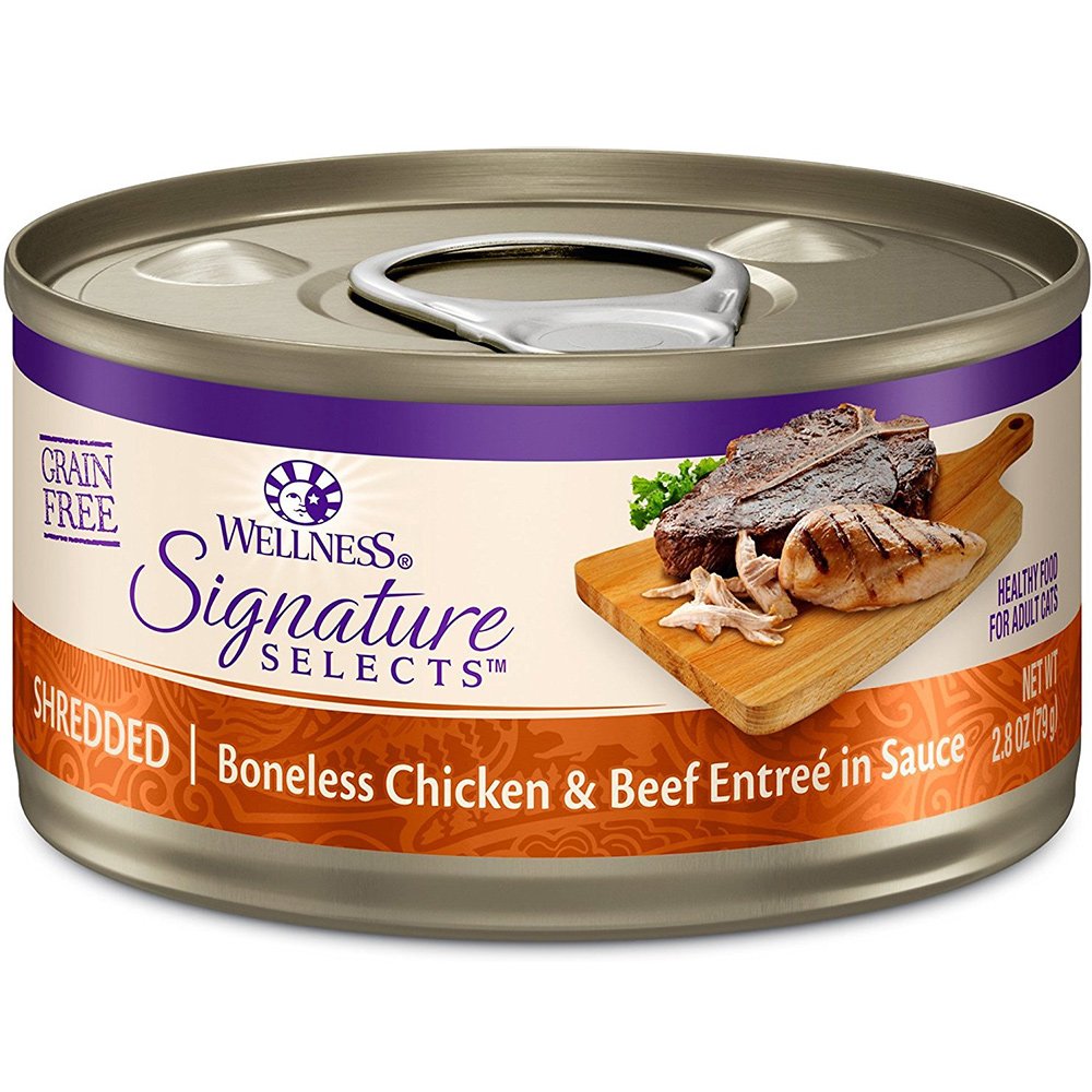 Wellness Signature Grain Free Wet Cat Food variety pack on display invites flavor exploration for picky cats.