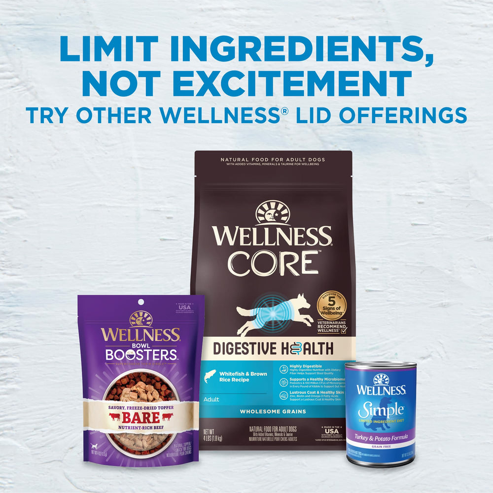 Wellness Simple coat-friendly formula supports healthy skin