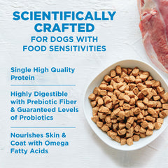 Wellness Simple dog enjoying crunchy kibble supports daily meals