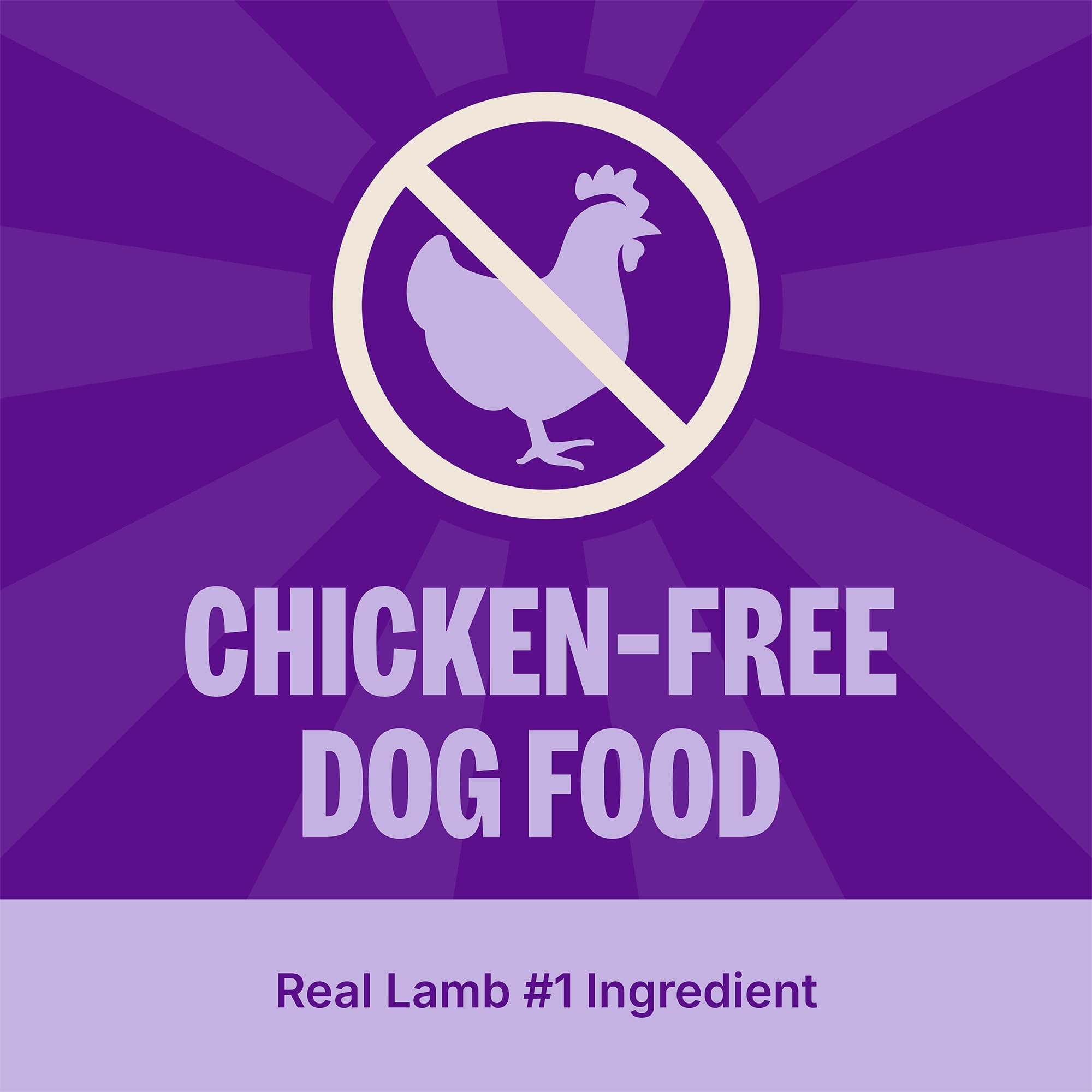 Wellness Simple Lamb & Oatmeal kibble in bowl shows balanced digestion-friendly meal.