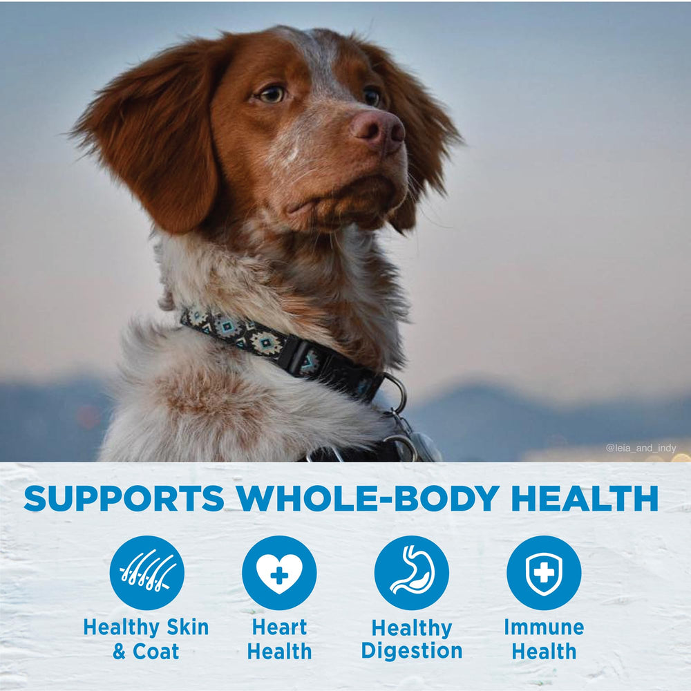 Wellness Simple no chicken ingredients emphasizes allergy-friendly recipe