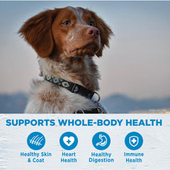 Wellnes Simple serving bowl with kibble promoting gentle digestion