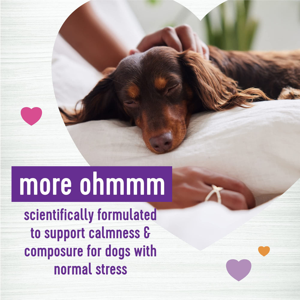 Wellnes smoked cheese flavor chews close-up highlighting tasty calm formula.