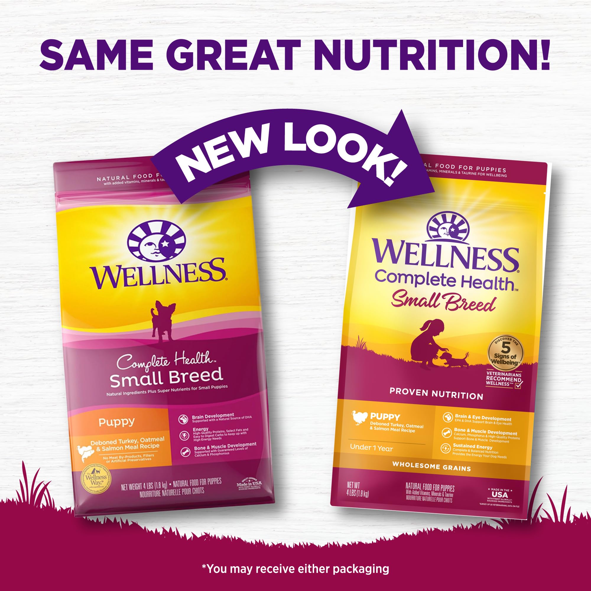 Wellness turkey-oatmeal-salmon kibble close-up emphasizing protein balance for growing puppies.