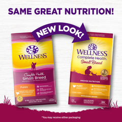 Wellness turkey-oatmeal-salmon kibble close-up emphasizing protein balance for growing puppies.