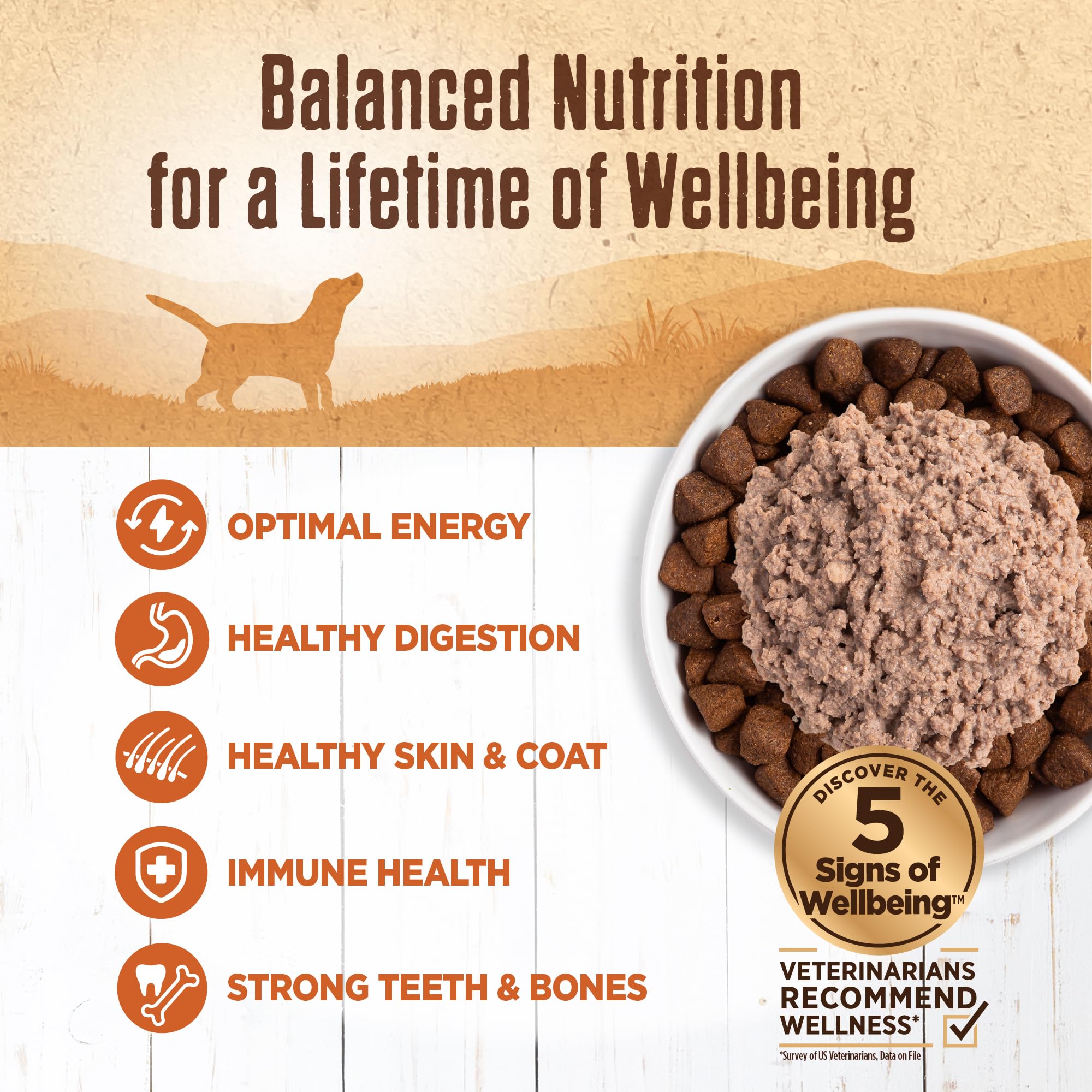 Wellness turkey pate served in a bowl demonstrates convenient mixer or topper option