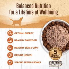 Wellness turkey pate served in a bowl demonstrates convenient mixer or topper option