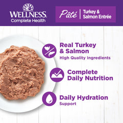 Wellness Complete Health Pate turkey-salmon entree close-up highlighting grain-free protein richness