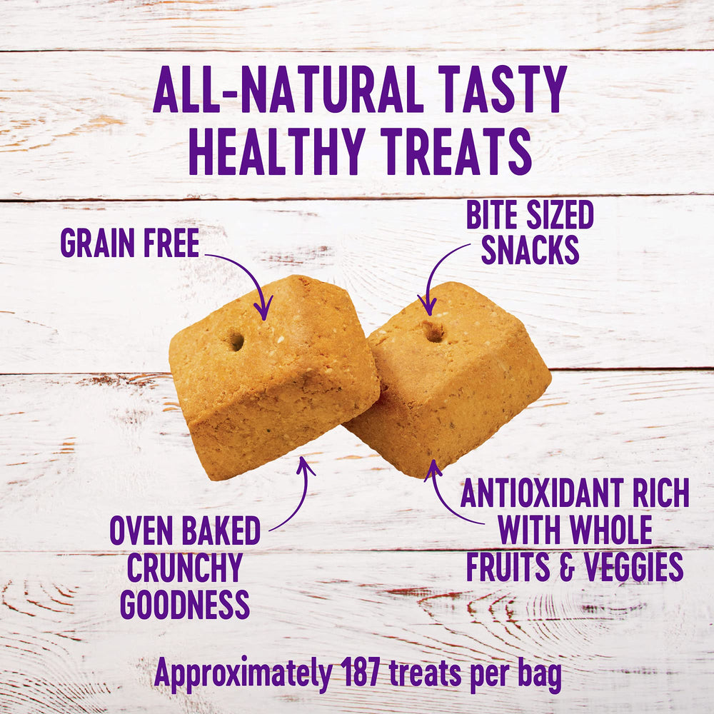 WellBars crunchy treats closeup with yogurt and fruit flavor