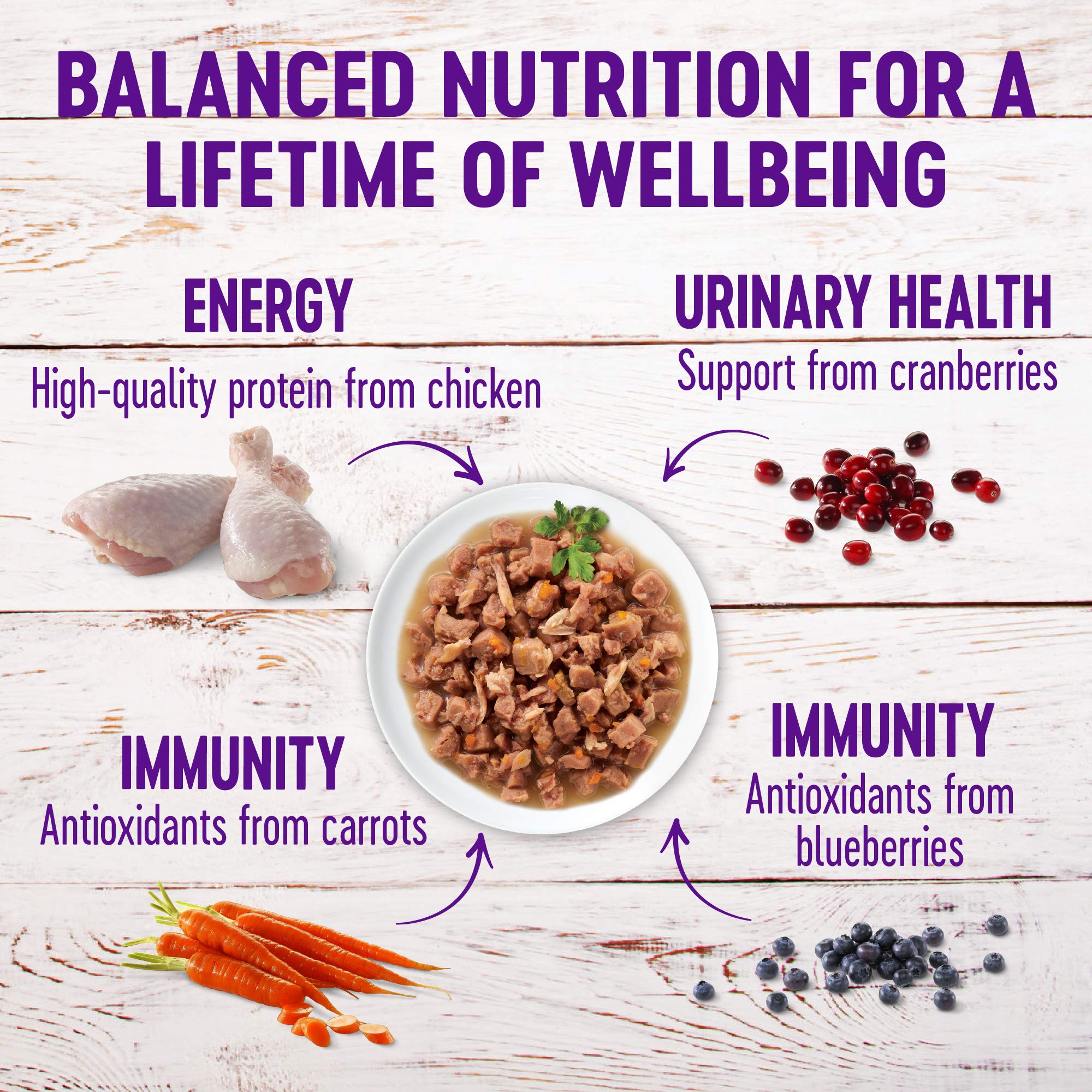 Wellness wet-cat-food-savory-sauce enhances hydration and appetite at feeding time.