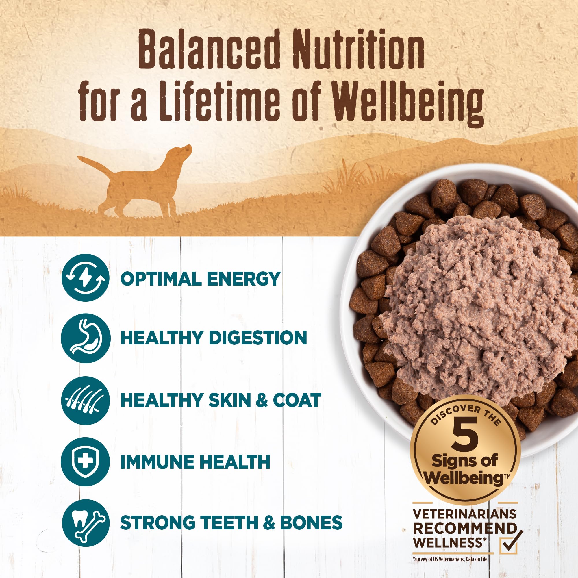 Wellness Wet dog food mixer shot illustrating easy topper addition