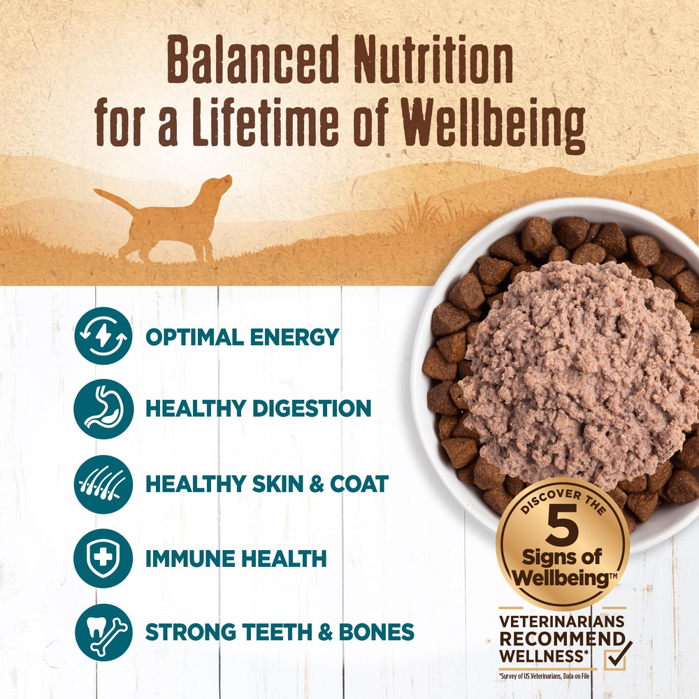 Wellness Wet dog food mixer shot illustrating easy topper addition