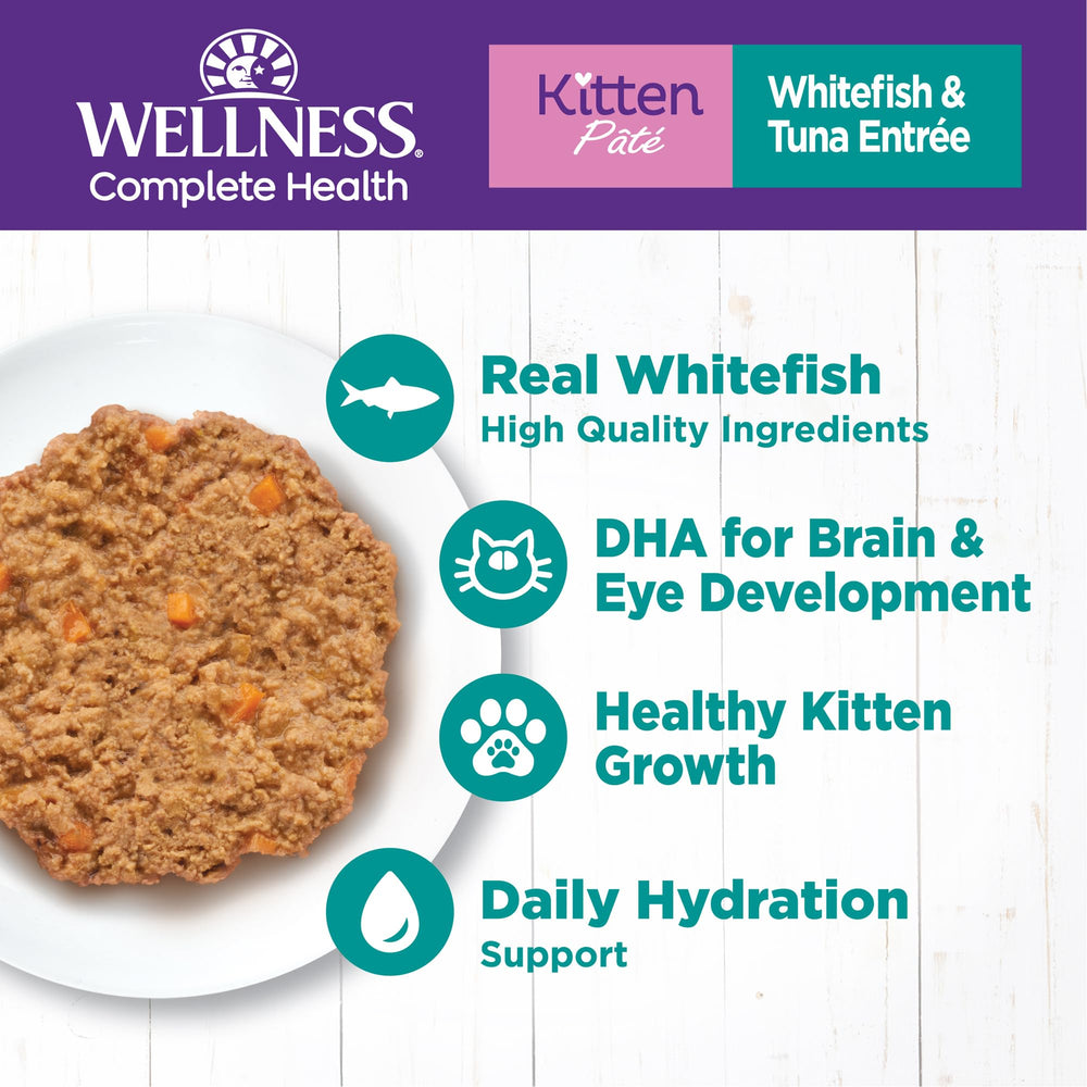 Wellness whitefish-tuna-entree closeup highlights smooth pate texture for kittens