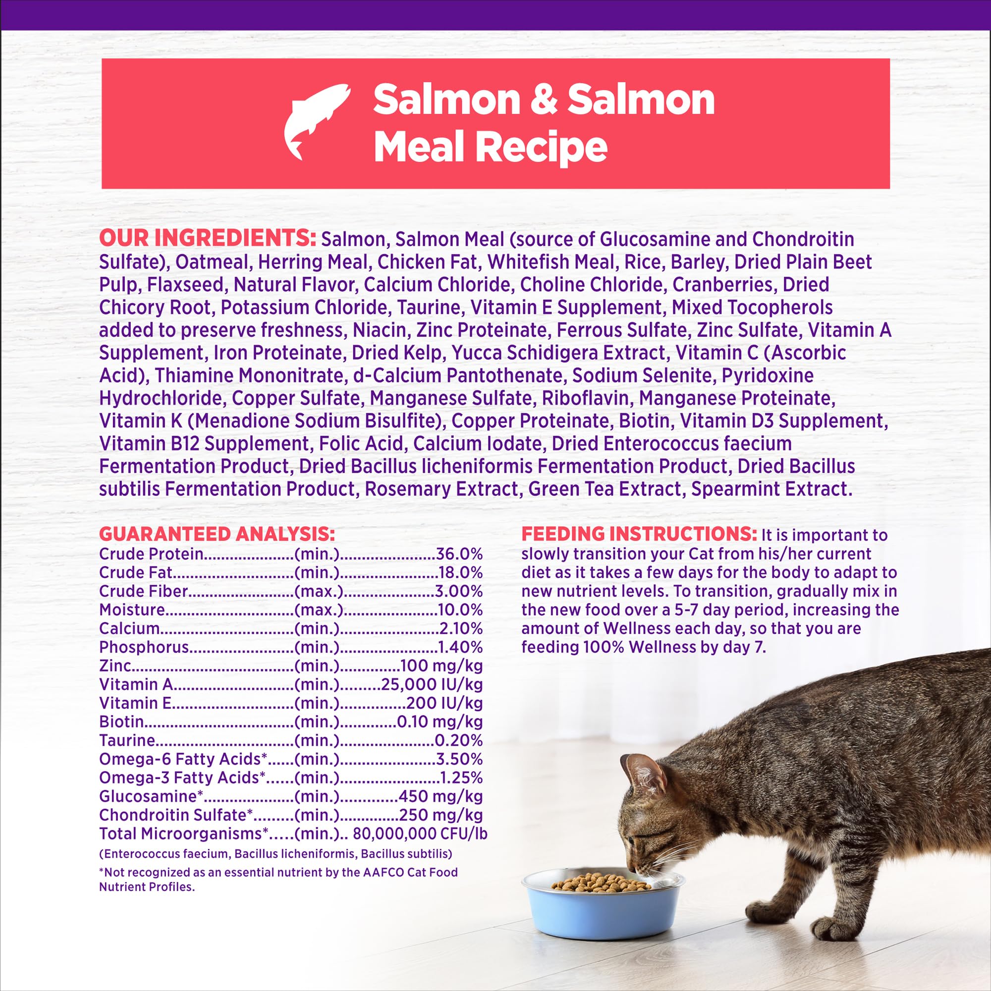 Wholesome grains kibble texture in Wellness Complete Health