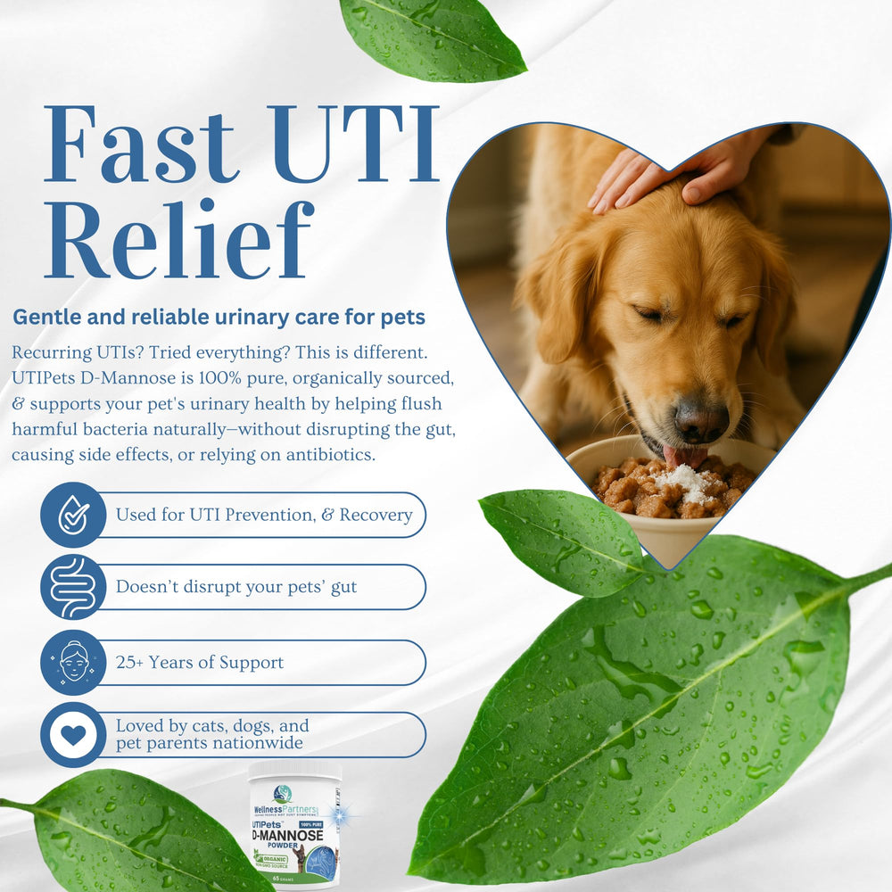 WellnessPartners Gluten-free non-GMO D-Mannose powder product label.