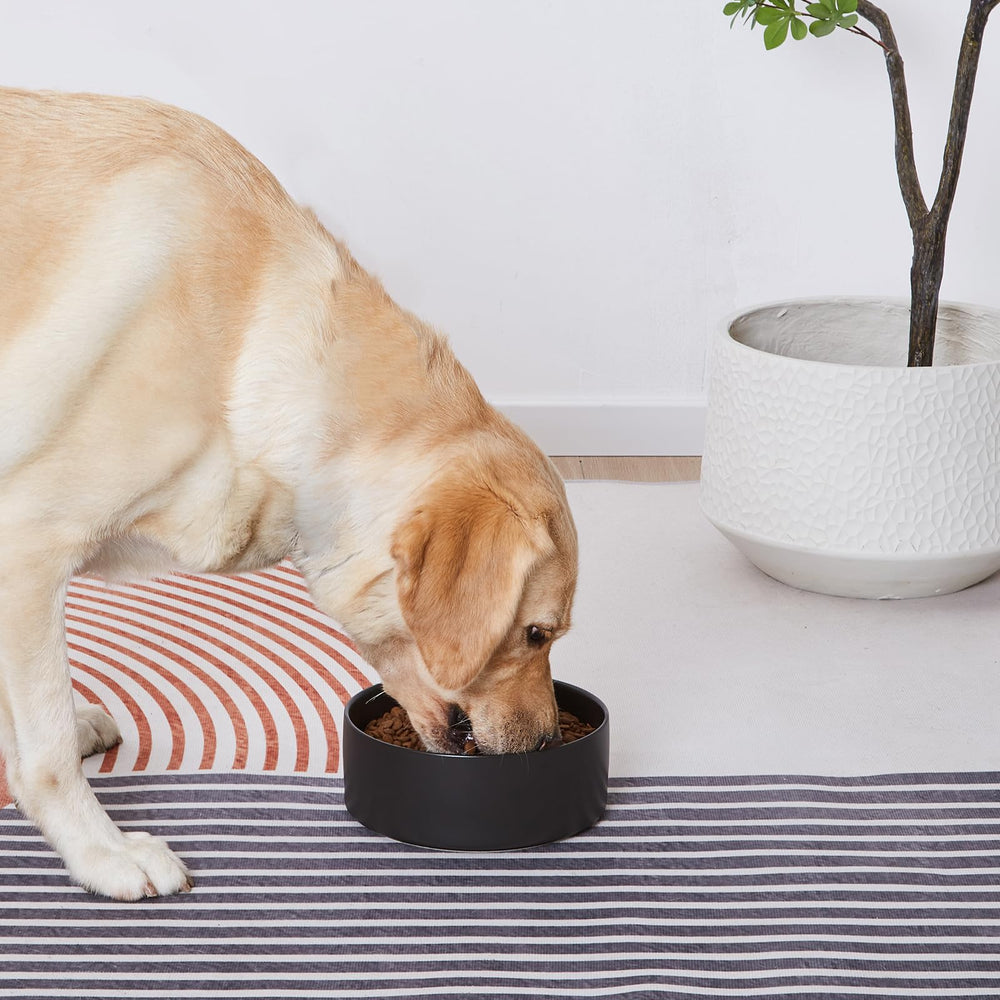 Welloyed black ceramic dog bowl for daily use.