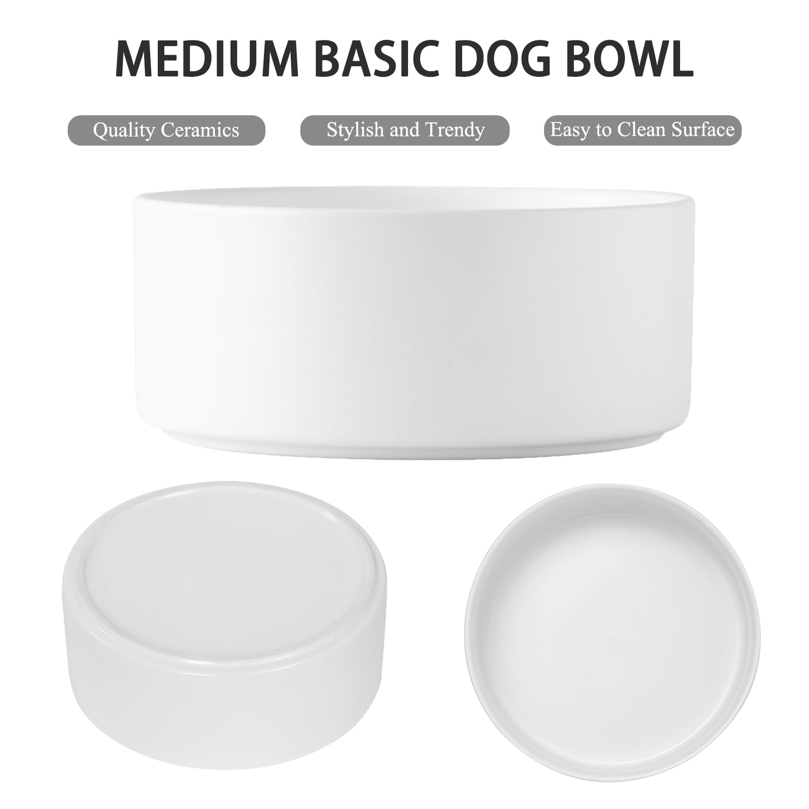 Welloyed dog bowl with non slip base prevents spills during feeding