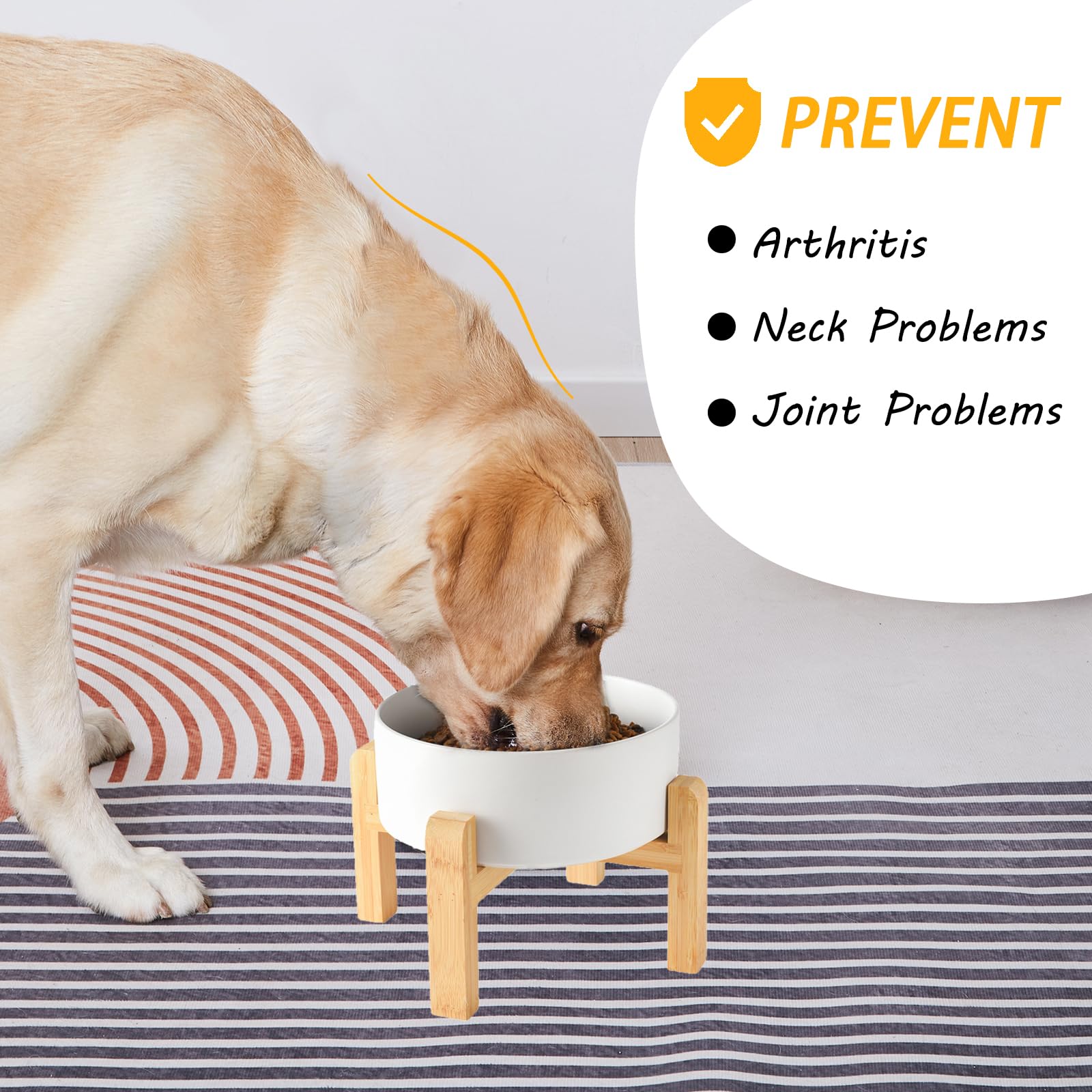Welloyed microwave-safe bowl allows quick warming of meals for pets.