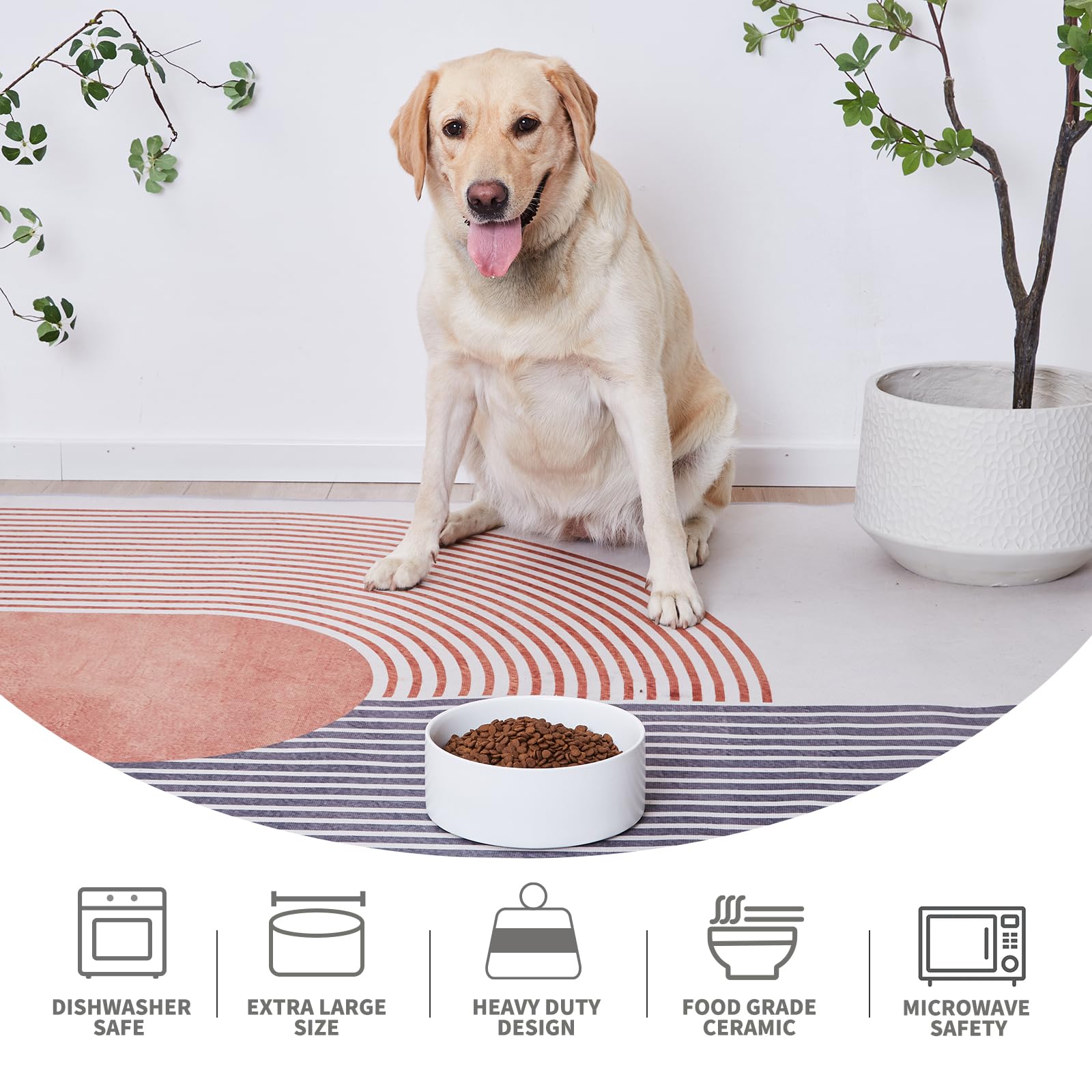 Welloyed microwave safe dog bowl convenient for warming meals