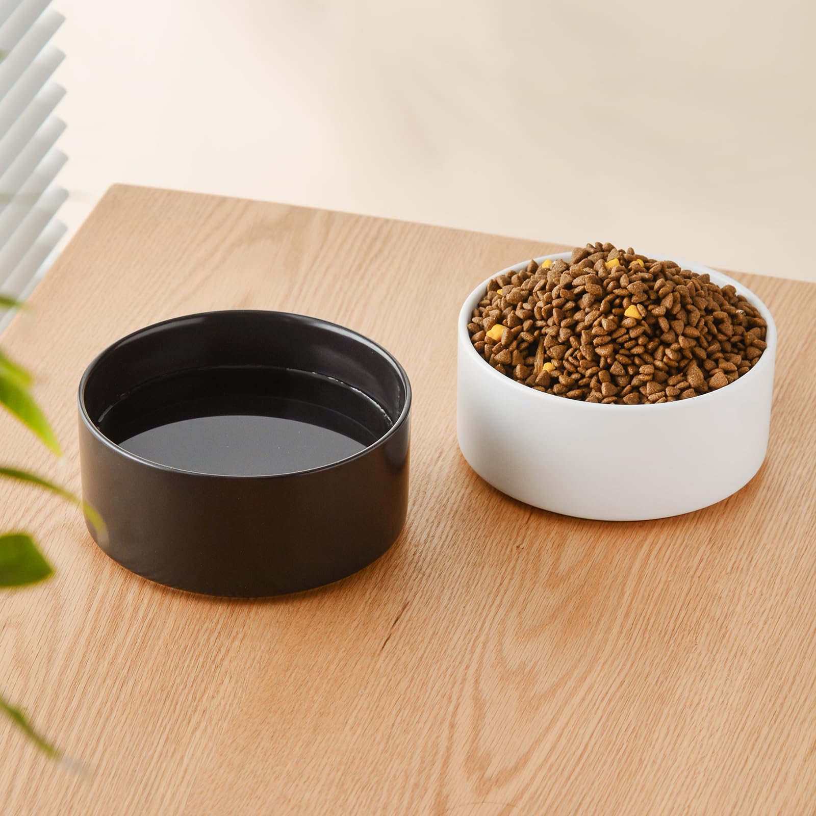 Welloyed 6 inch bowl designed for small to medium dogs