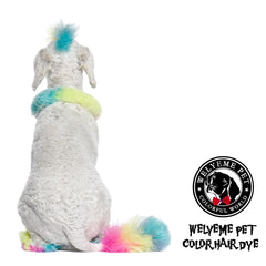 WELYEME dog coat with bright color on light fur.