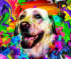 WELYEME Rainbow Pet Hair Dye application on a pet's coat without extra containers.