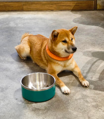 WENBOKMIN dishwasher-safe bowl for quick, easy cleaning after meals