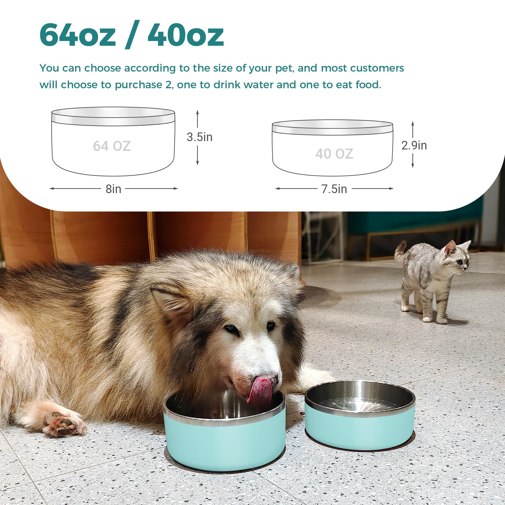 WENBOKMIN dog bowl anti-slip bottom keeps meals steady on floors