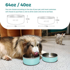 WENBOKMIN dog bowl anti-slip bottom keeps meals steady on floors