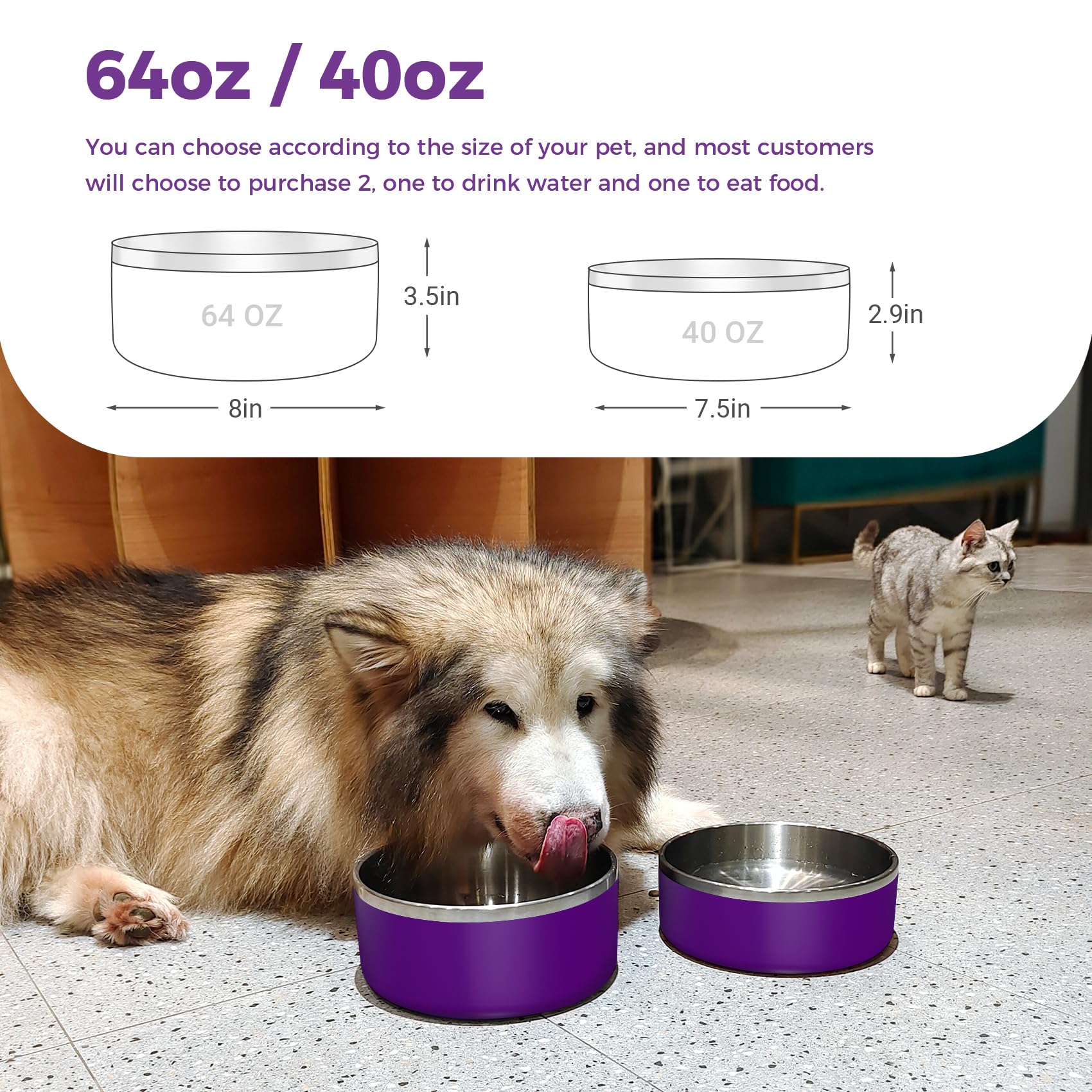 WENBOKMIN dog bowl with non-slip bottom, preventing spills.