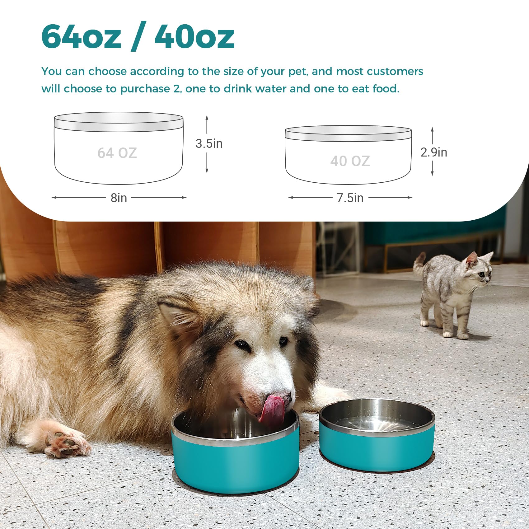 WENBOKMIN dog bowl with non-slip silicone base for floor protection
