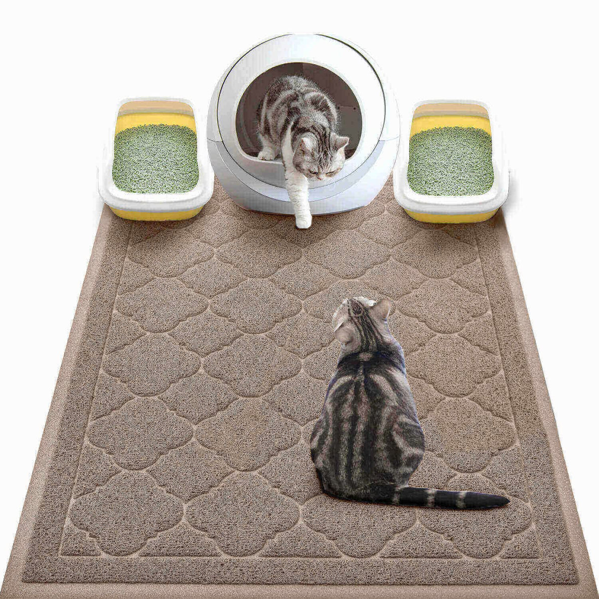 WePet cat litter mat under the litter box reduces tracking and mess.