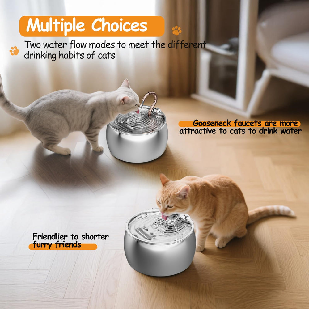 BPA-free, dishwasher-safe construction simplifies daily maintenance.