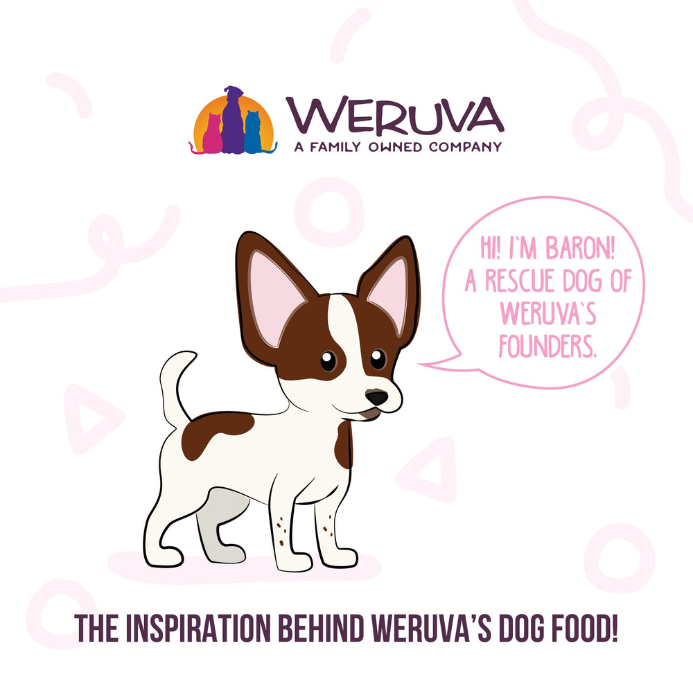 Weruva Bed and Breakfast packaged cups ready for daily meals.