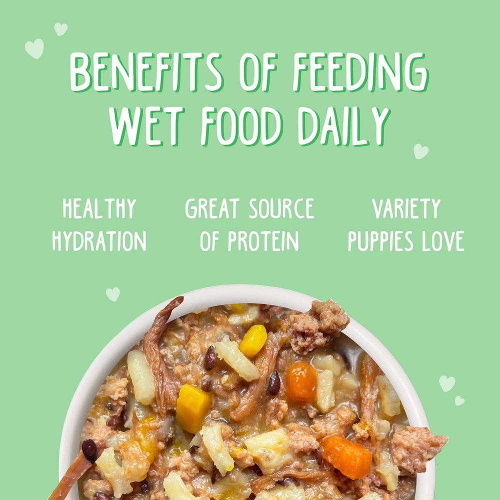 Weruva Beef and Rice ingredients close-up, highlights natural, grain-free formula.