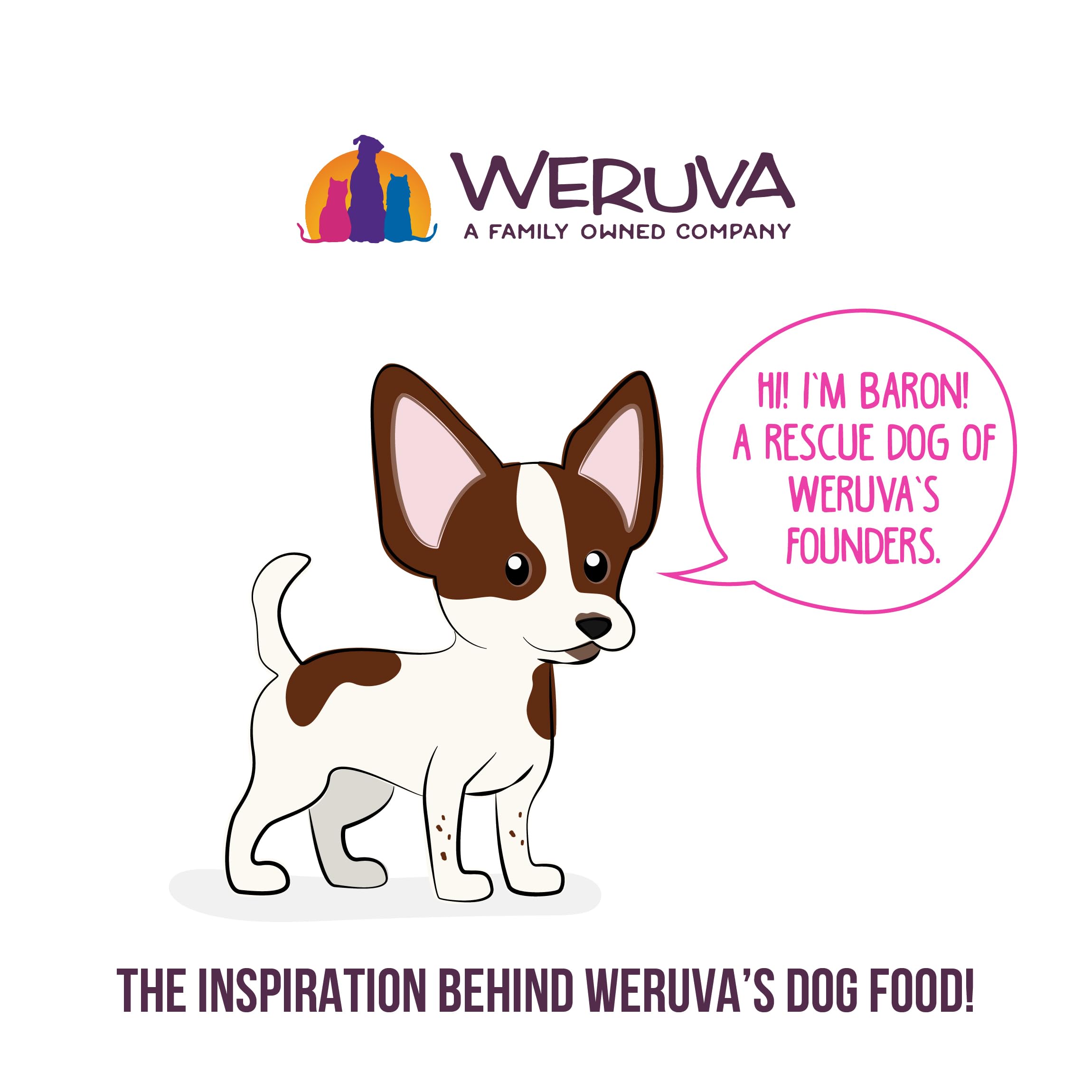 Weruva Best Fido Friend Grass-Fed Beef cup highlights quality protein