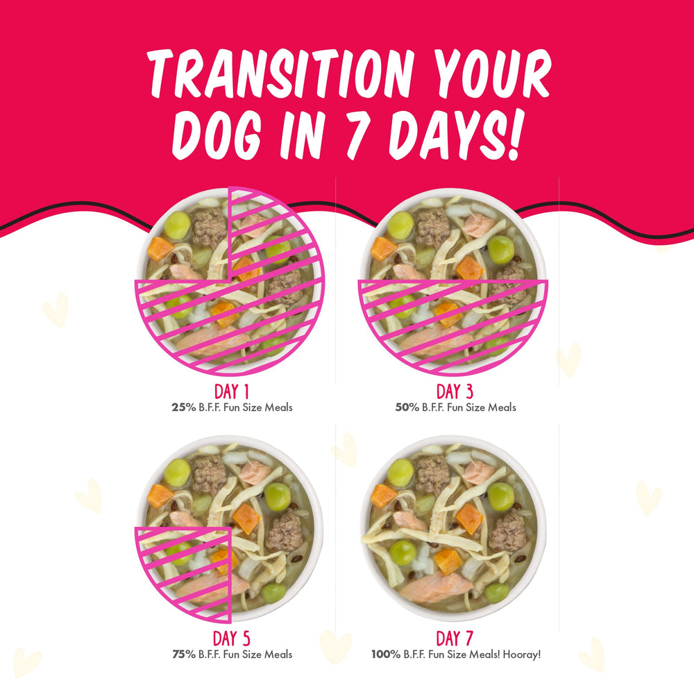 Weruva Best Fido Friend Pumpkin Rice cup offers texture and flavor