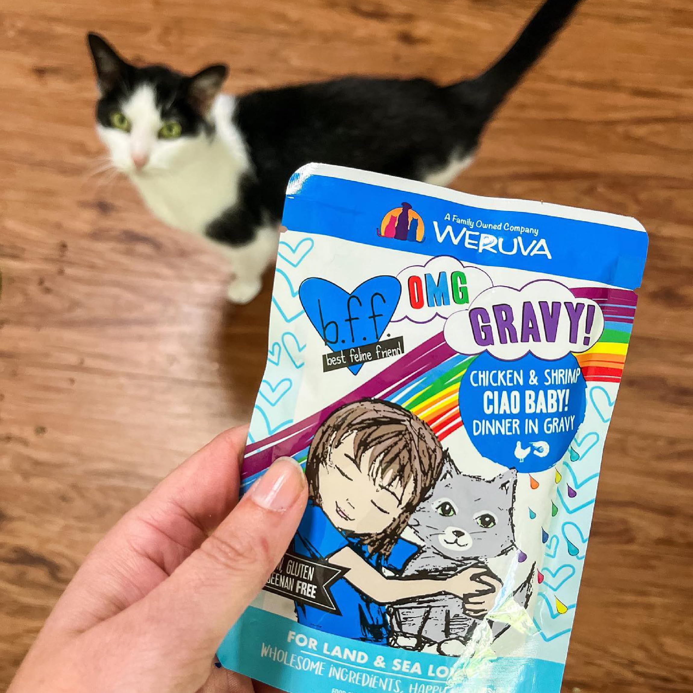 Weruva B.F.OMG Baby Cakes appealing visual for cats
