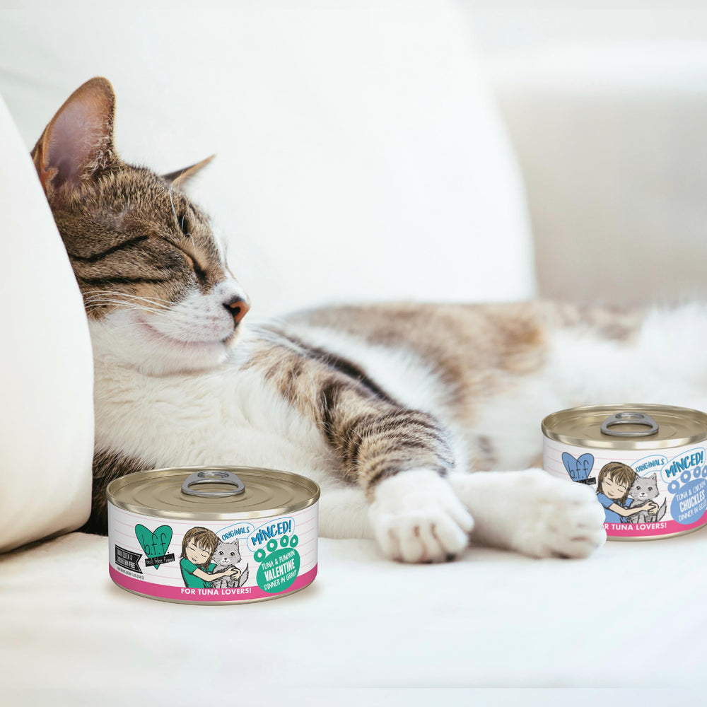 Weruva BFF adult maintenance nutrition panel – complete and balanced cat nutrition.
