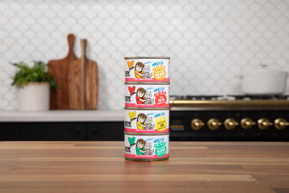 Serving-ready Weruva BFF Minced cat plate with 10oz can for easy meal prep