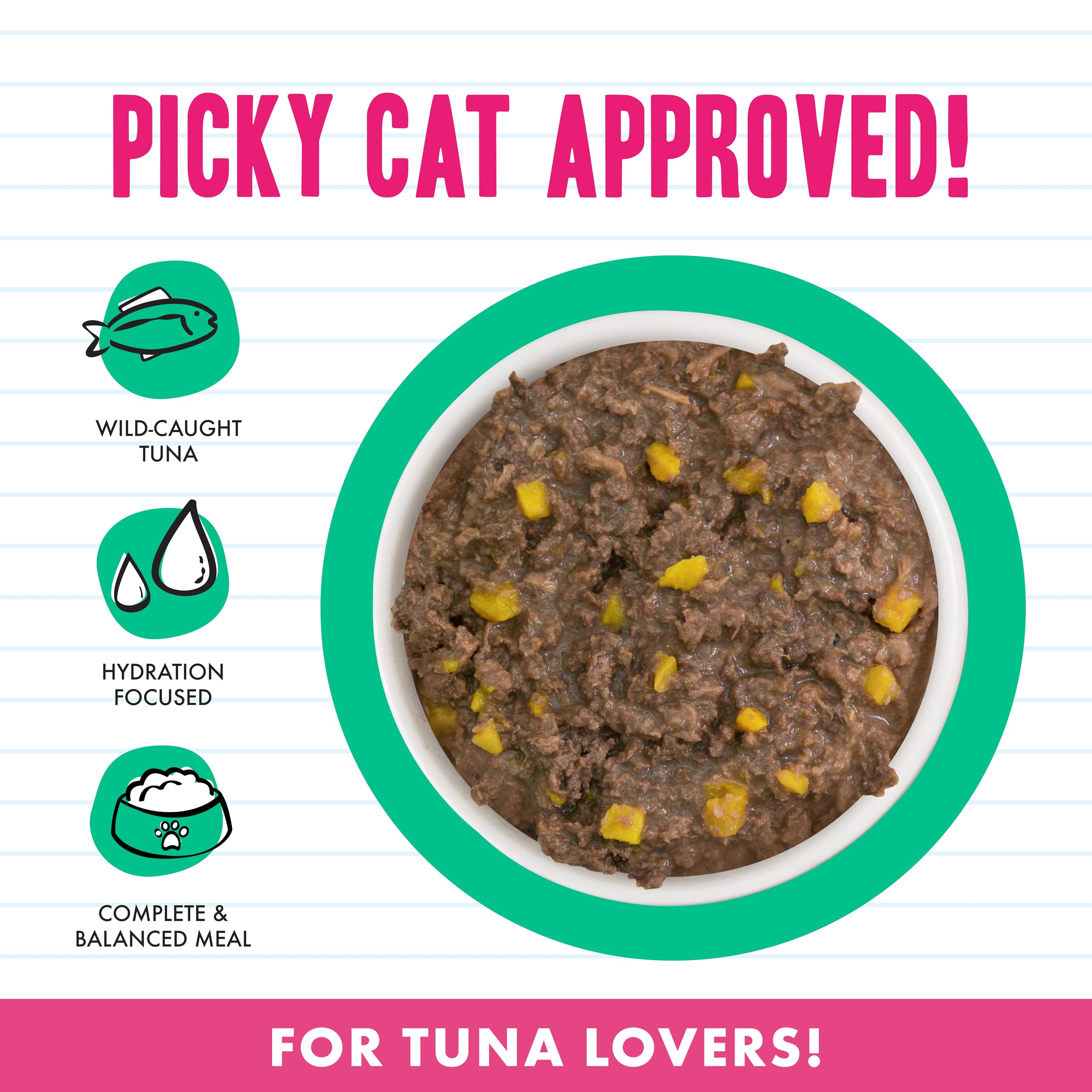 Weruva BFF minced tuna in gravy with pumpkin chunks; savory cat texture