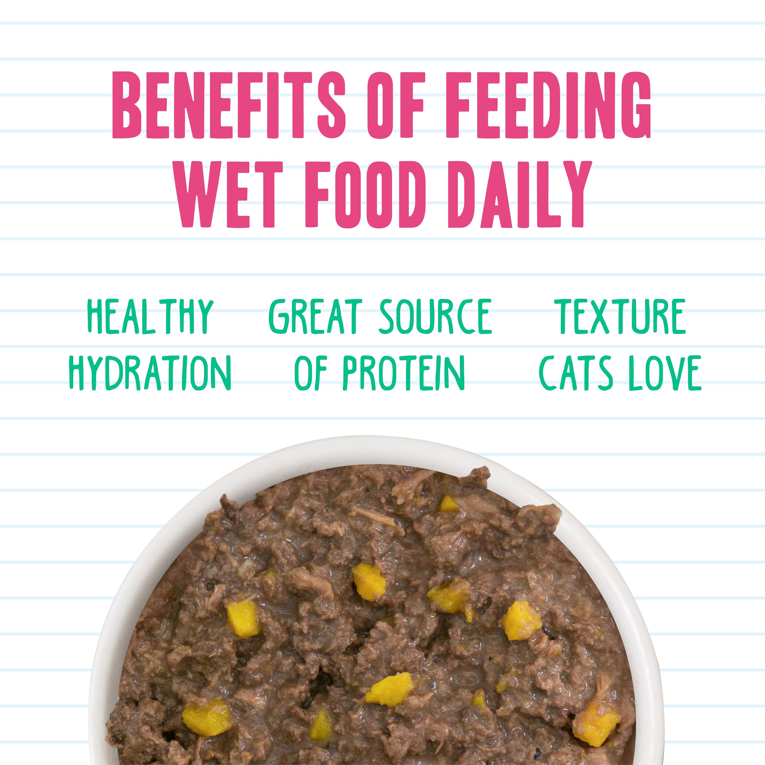 Weruva BFF moisture-rich gravy visual – hydration-forward meal for cats.