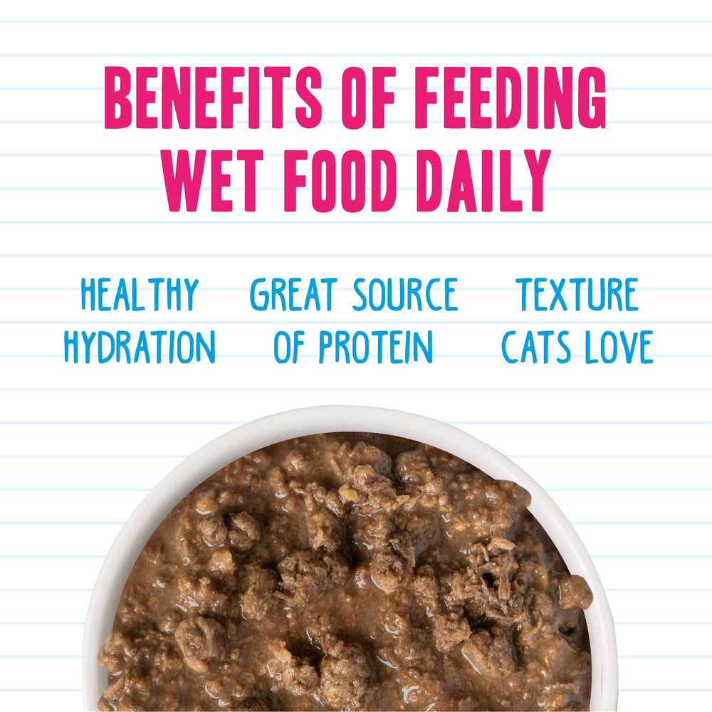 No artificial colors or preservatives in Weruva BFF