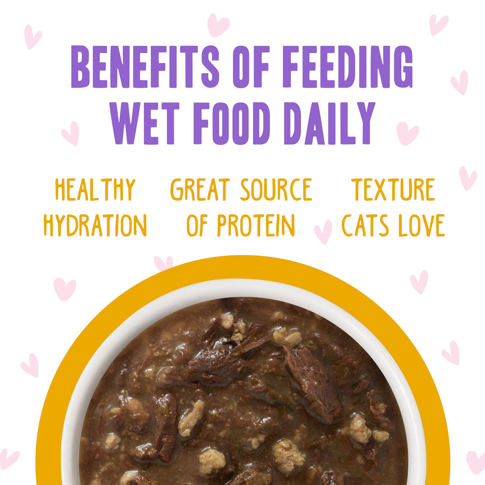 Weruva B.F.F. OMG 3oz pouch pack captures convenient, portion-controlled meals for busy cat owners