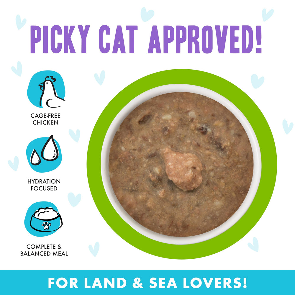 Grain-free and carrageenan-free Weruva B.F.F. OMG cat food.
