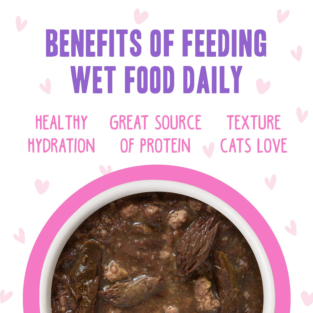 Weruva BFF OMG grain-free formula pouch—no corn, wheat, or soy.