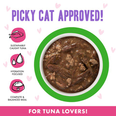 Gravy-rich Weruva OMG cat food close-up, moistened texture for felines.