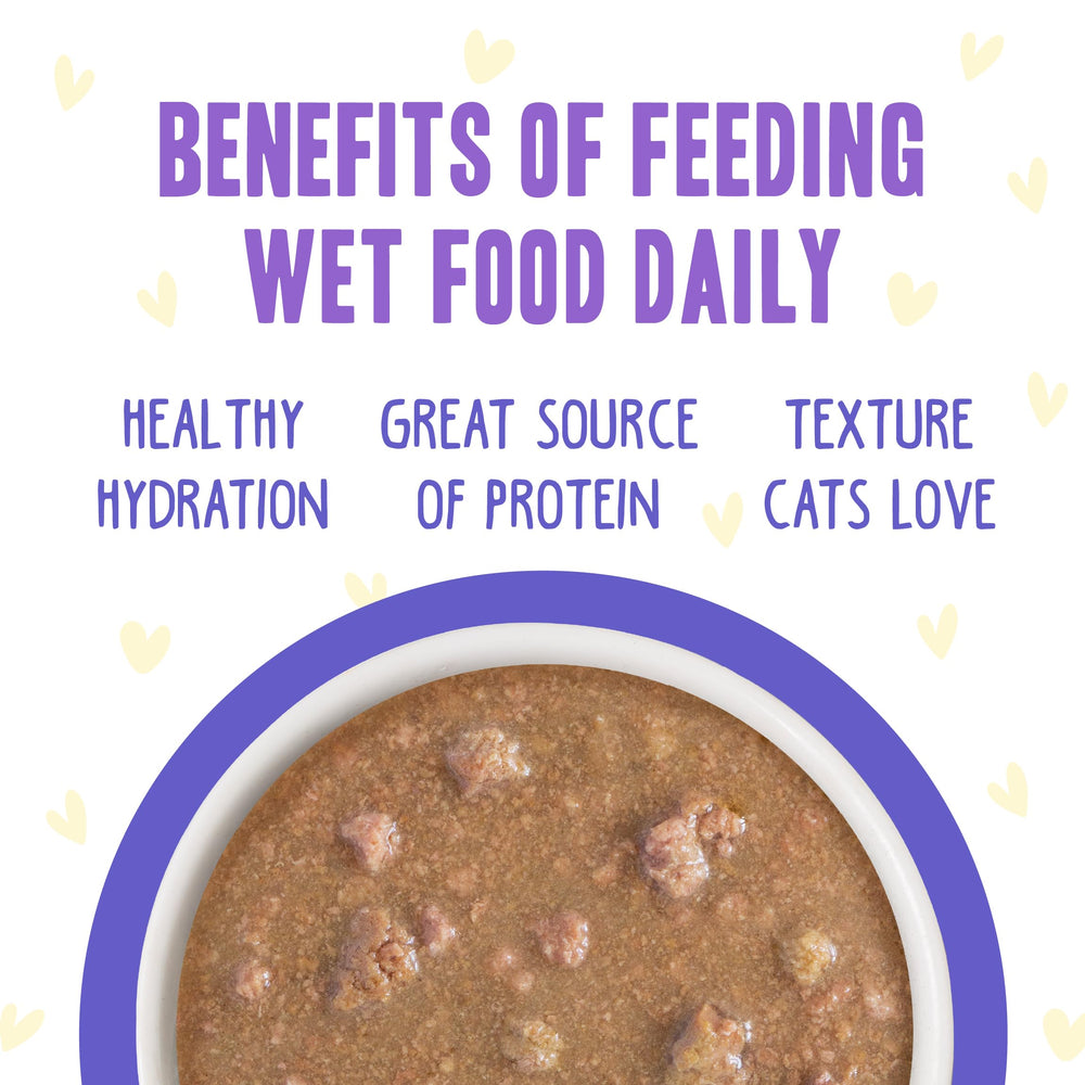 Weruva B.F.F. OMG pack-12 cans emphasizes convenient, portioned meals.