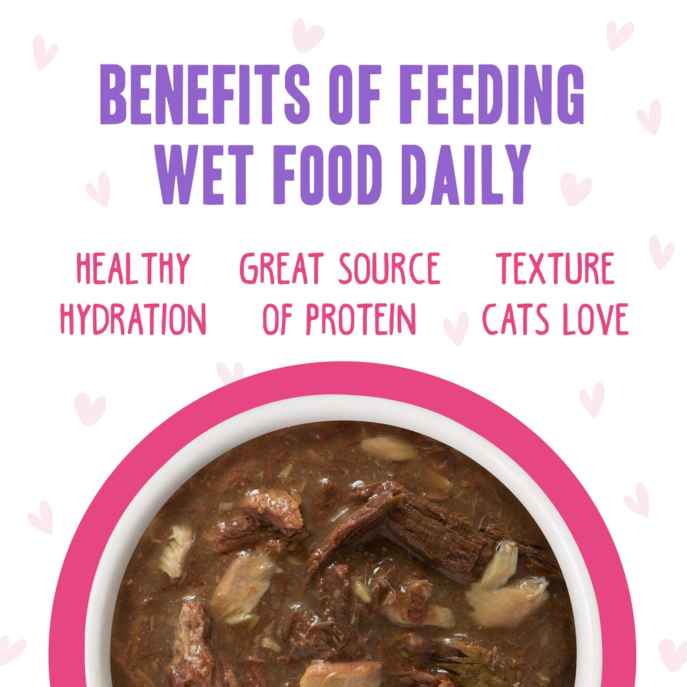 Weruva B.F.F. OMG Rainbow A Gogo Devour Me duck pouch—lean protein and savory gravy.